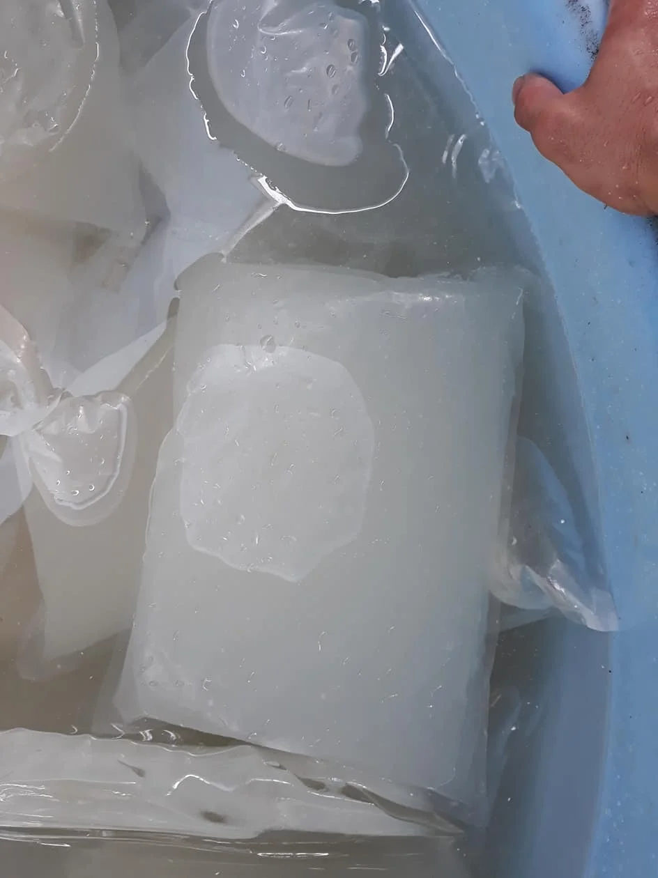 Good Price Frozen Coconut Water/ Coconut Water Importers In Europe Ms