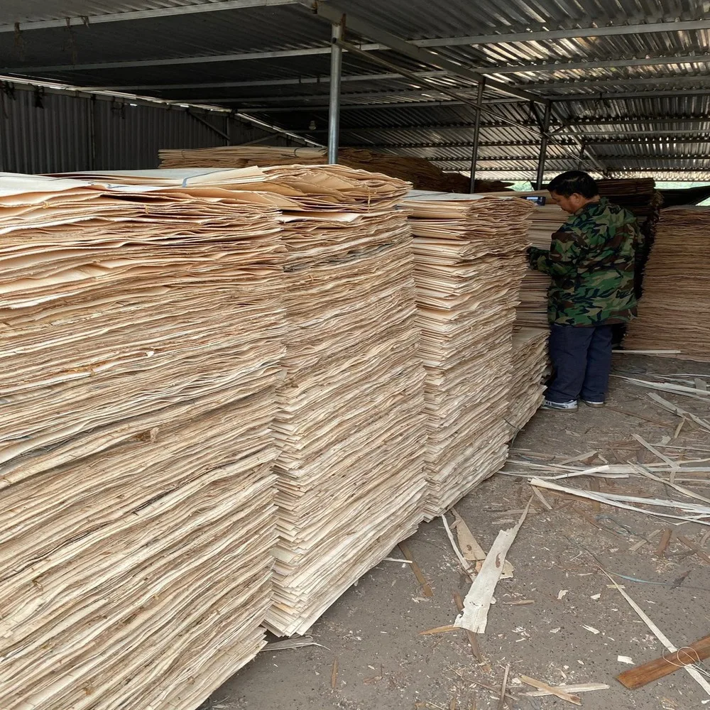 Eucalyptus/ Acacia/ Rubber Wood Core Veneer 2023 Vietnam - Natural ...