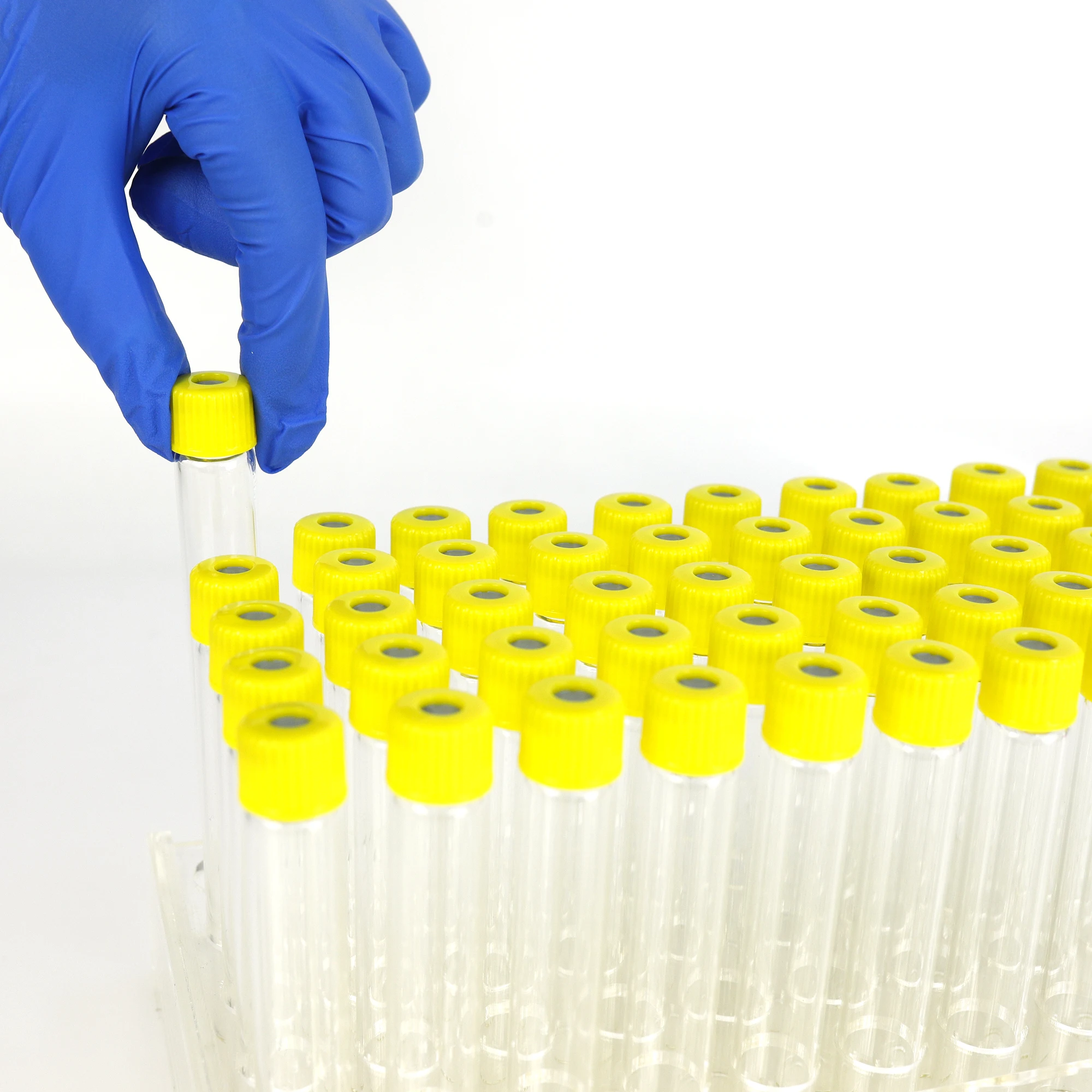 Medical Disposable Blood Collection Tube For Hemocyte Analysis Edta