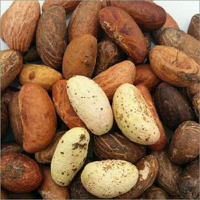Wholesale Kola Bitter Kola Nuts Buy Bitter Kola,Kola Nuts For Sale