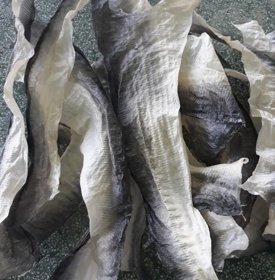 High Quality Natural Dried Basa Fish Skin Oem Dried Basa Pangacius Fish