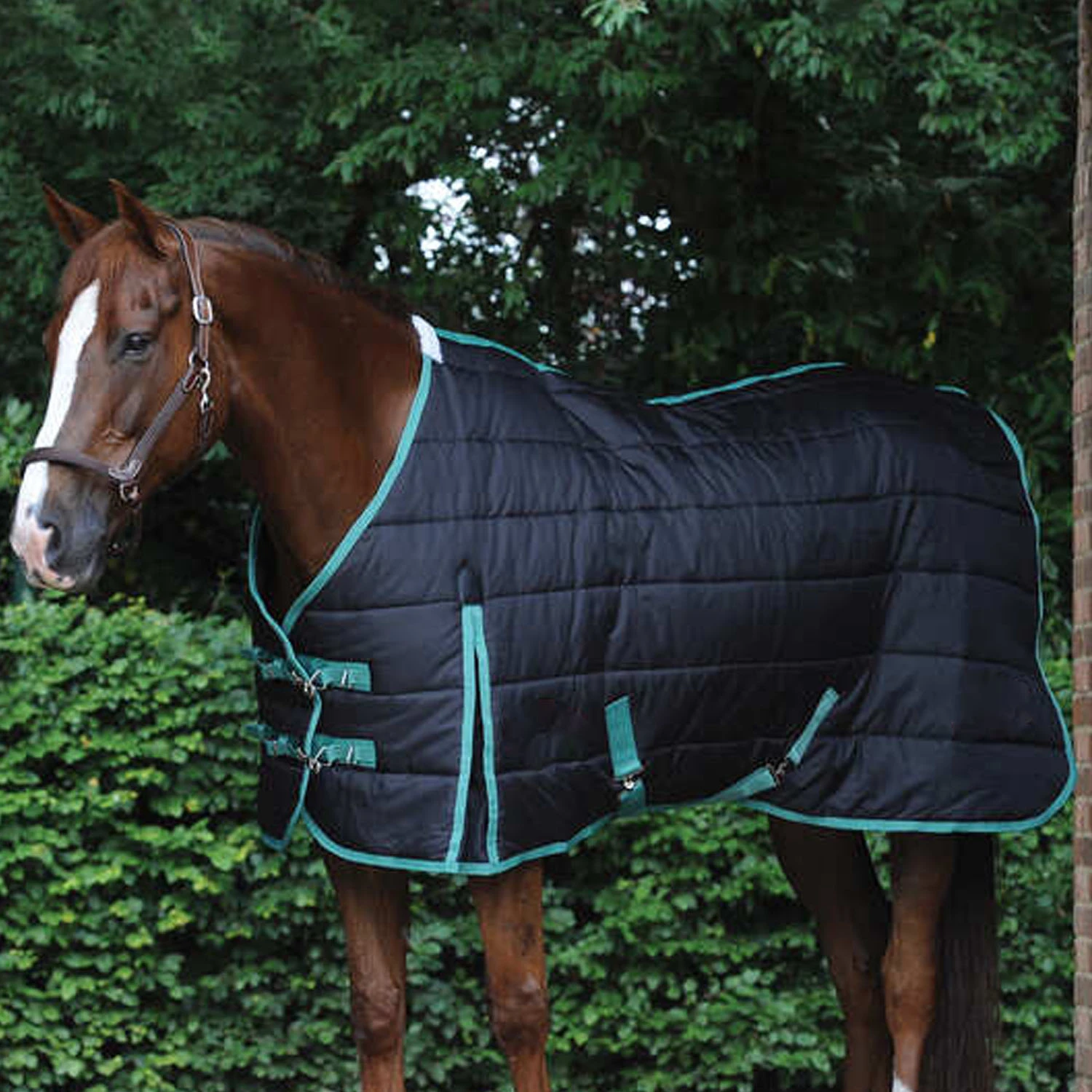 Wholesale Equestrian 2024 Warm Horse Rugs Breathable Stable Fleece