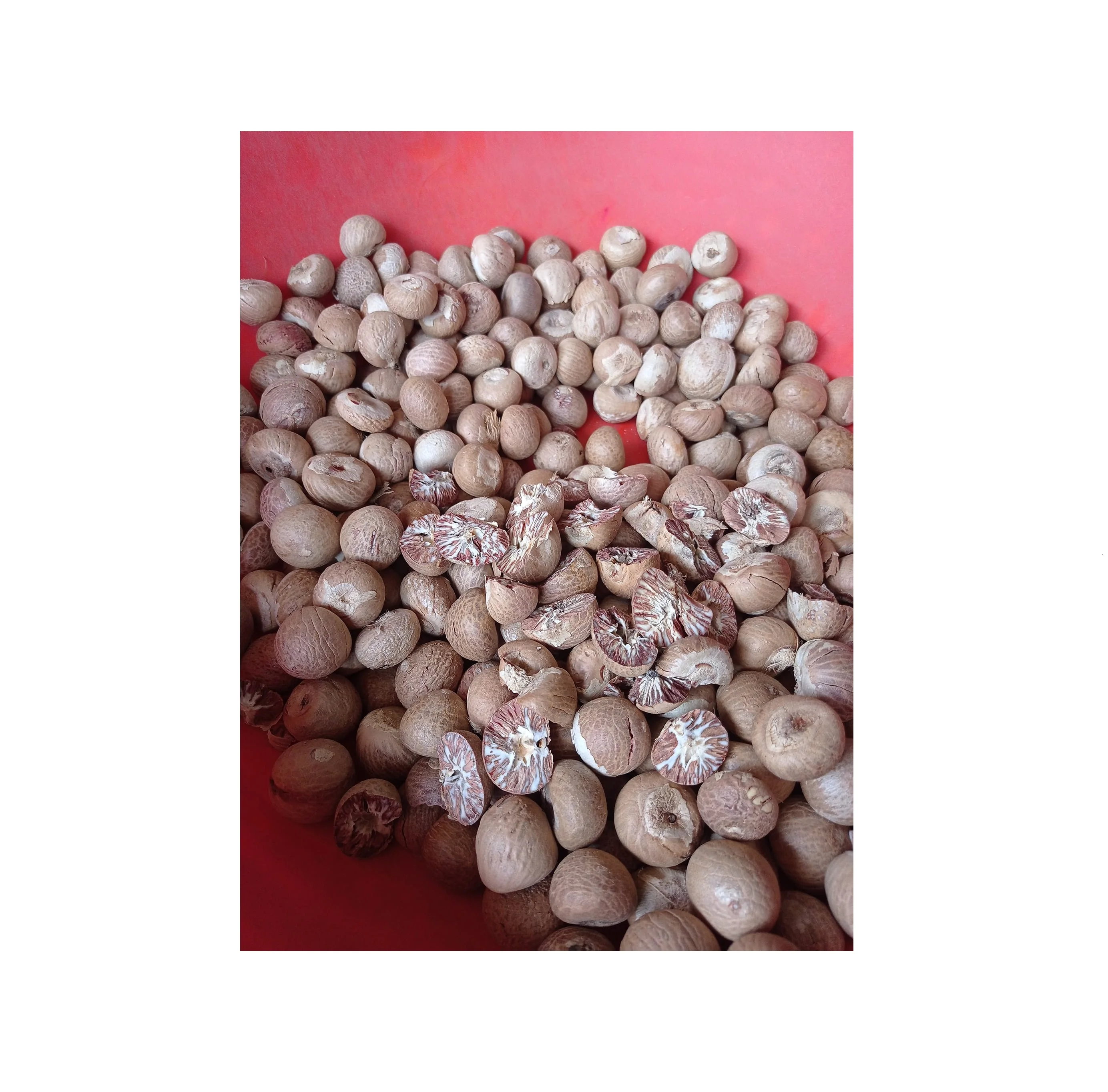 Betel Nut Dried Supari In Hot Sale With High Quality Newly Crop In 2022 Ready For Export By Air
