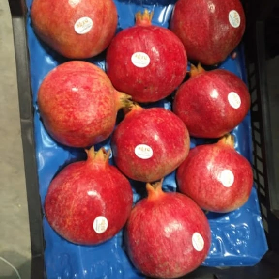 Whole New Season For Fresh Pomegranate Premium Quality With Cheap Price