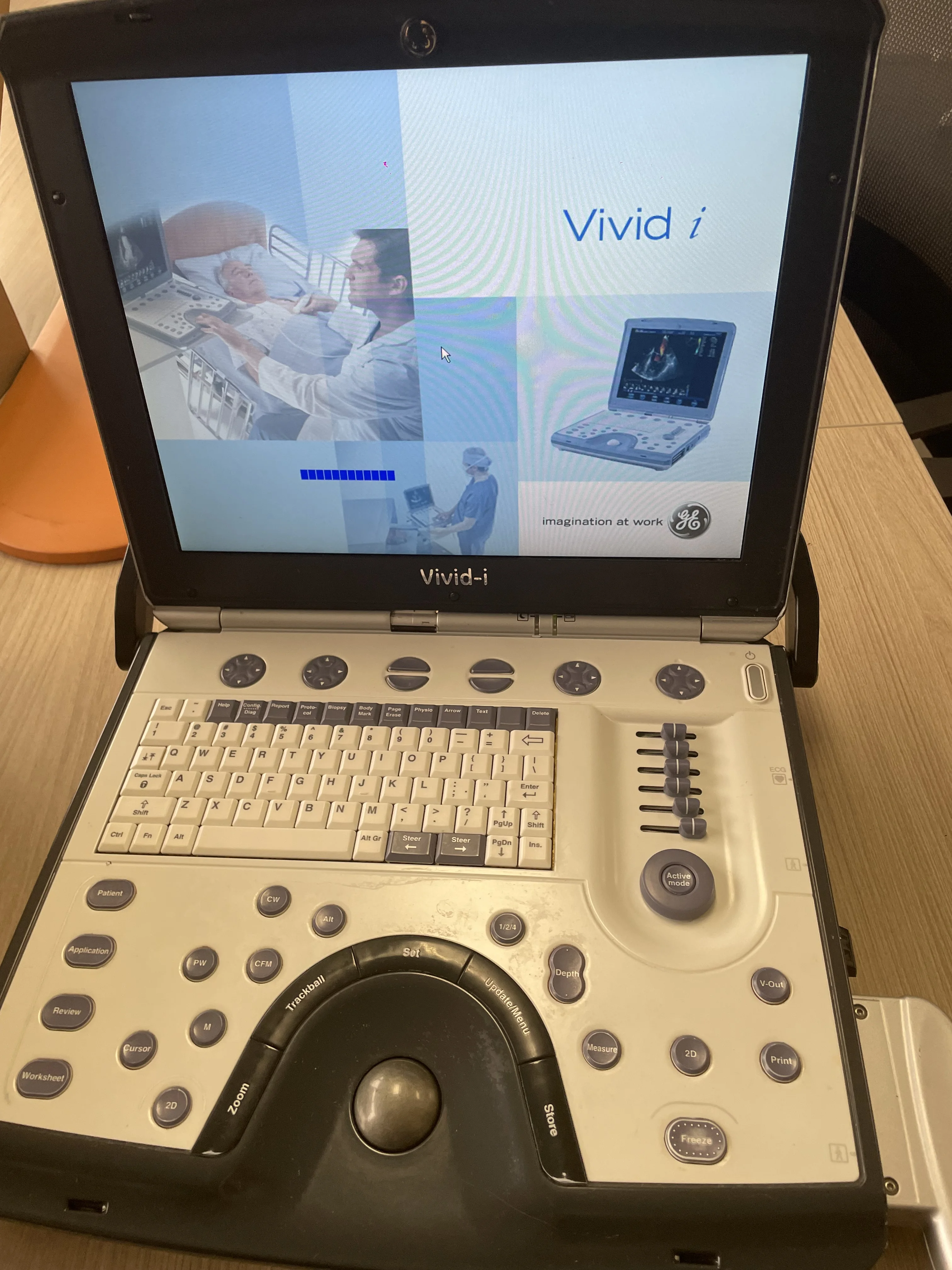 GE Vivid i