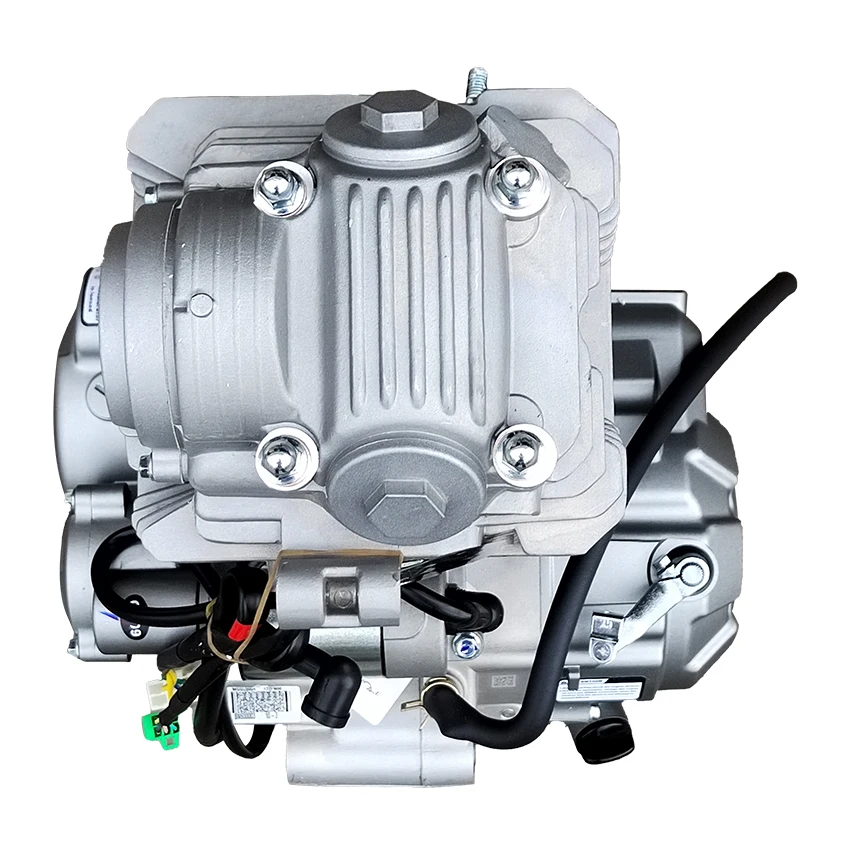 ZS172FMM-3A 250cc Motorcycle Engine CB250F for Sale - Affordable