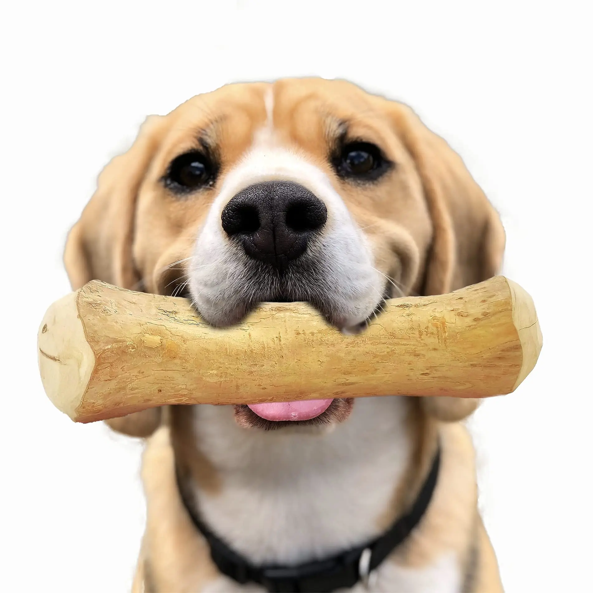 Coffee Wood Dog Chew Sticks Toy 100 Natural With Comfortable Taste