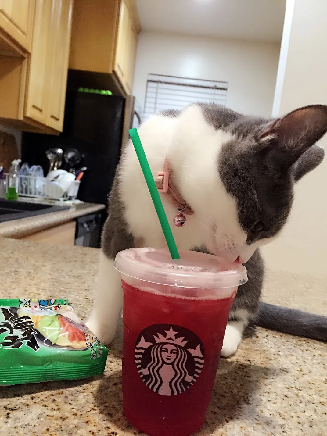 Juliet tasting Starbucks