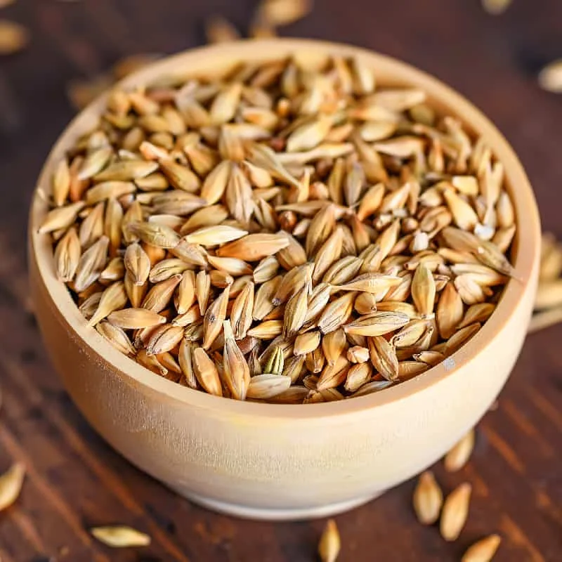 Animal Feed Barley Available For Export Buy Barley Barley Grain Barley Feed Barley Food Pearl