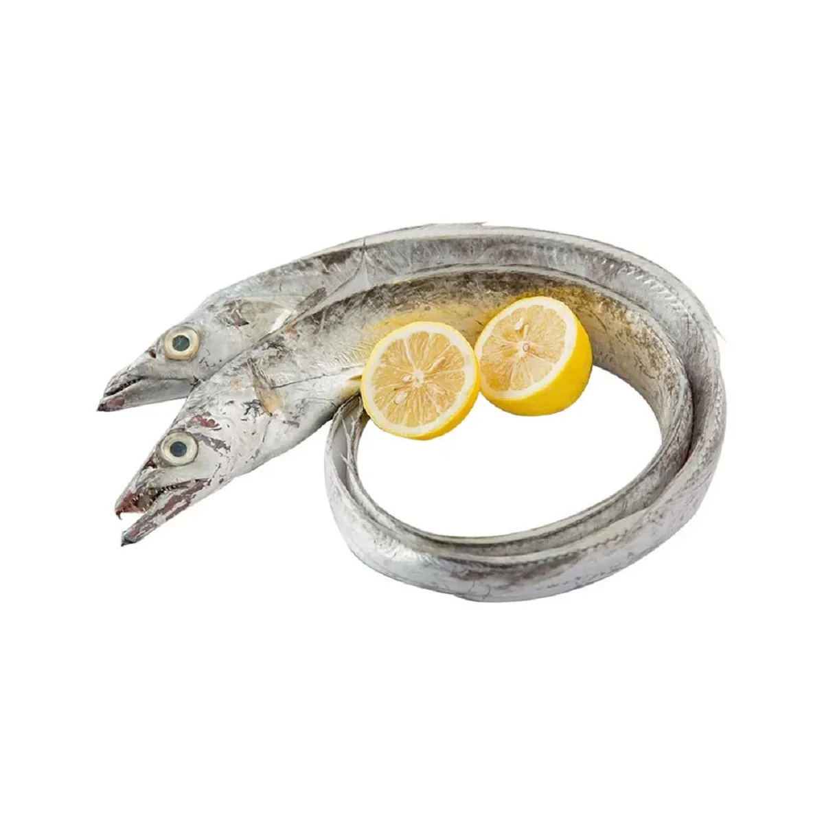 Fresh Frozen Ribbon Fish For Sale Buy Frozen Barracuda Fish,Indian