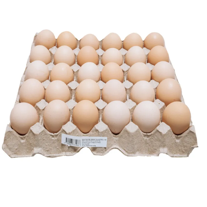 Fresh Chicken Eggs / Round Table Eggs For Sale / Fertile Hatching Eggs