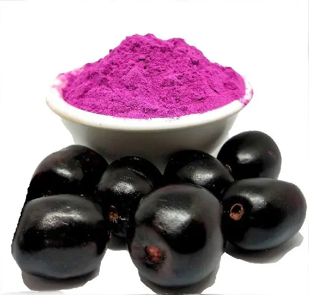 Dried Indian Blackberry /java Plum Powder Fresh & Best Quality Buy