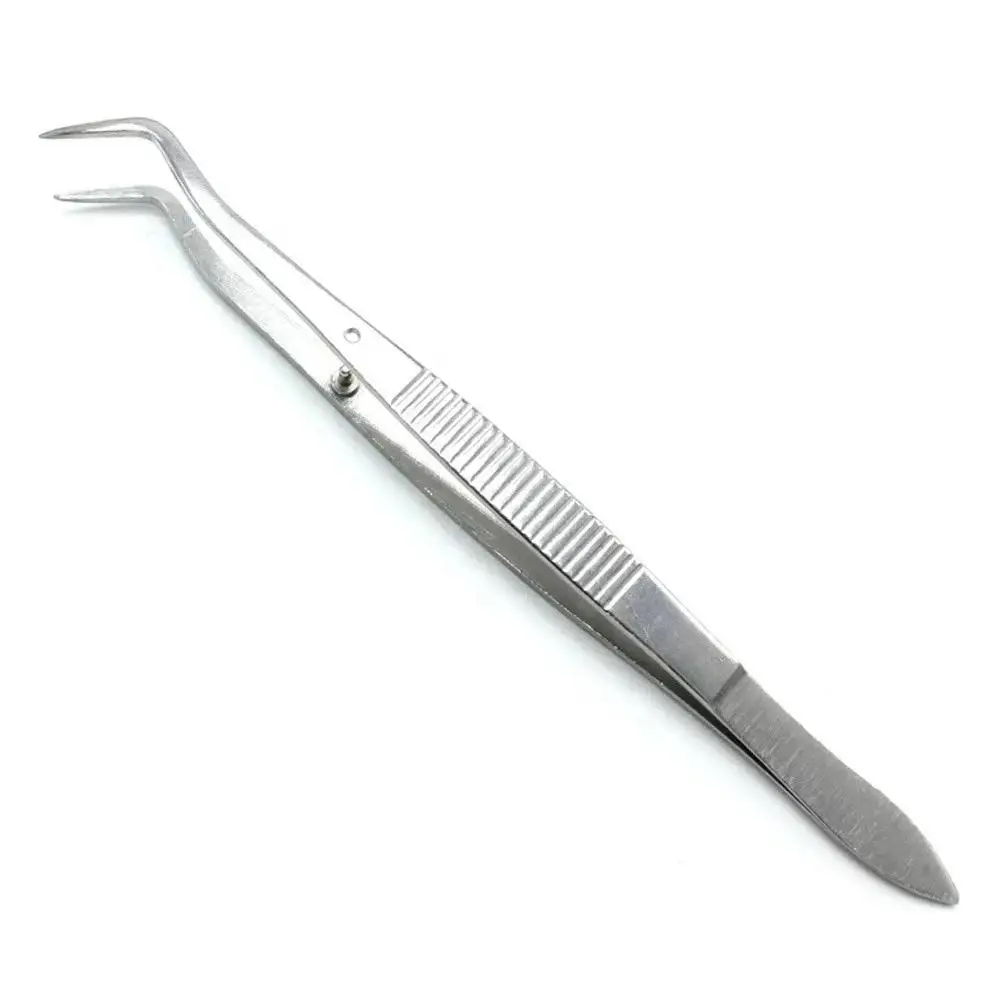 Dental Veterinary Tweezer 6 Forceps Surgical Instruments Dental Adson