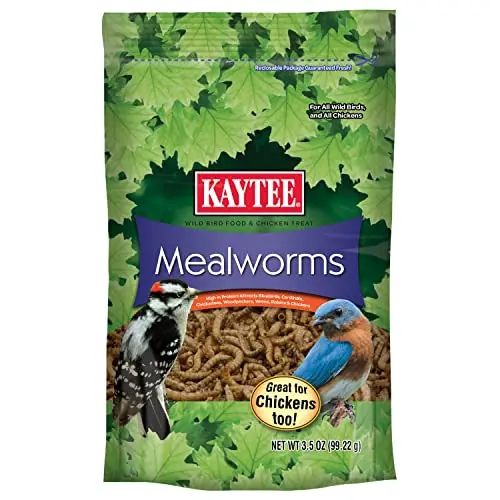 Kaytee Wild Bird Food Mealworms