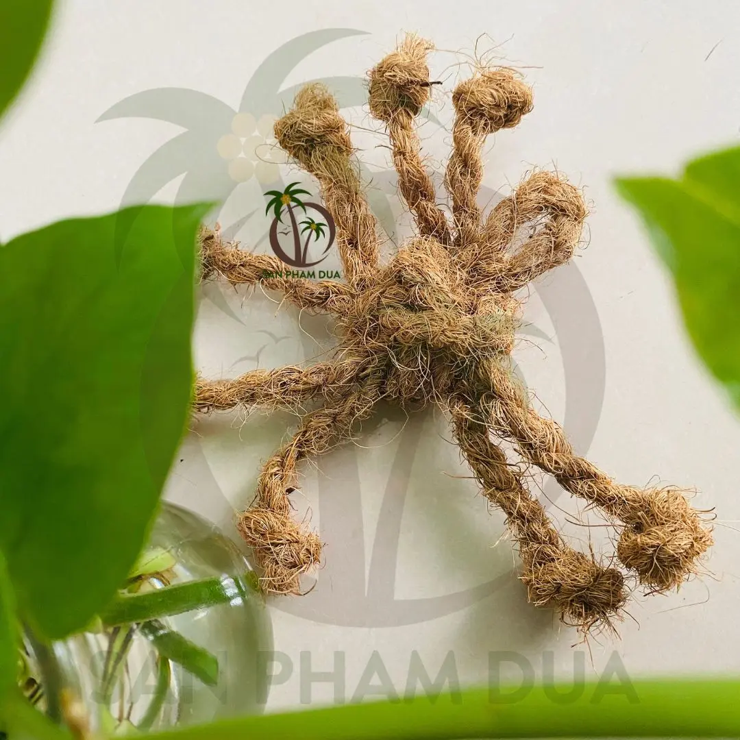 Top Trending Product 2024 Coconut Chew Ball Coconut Rope Ball With