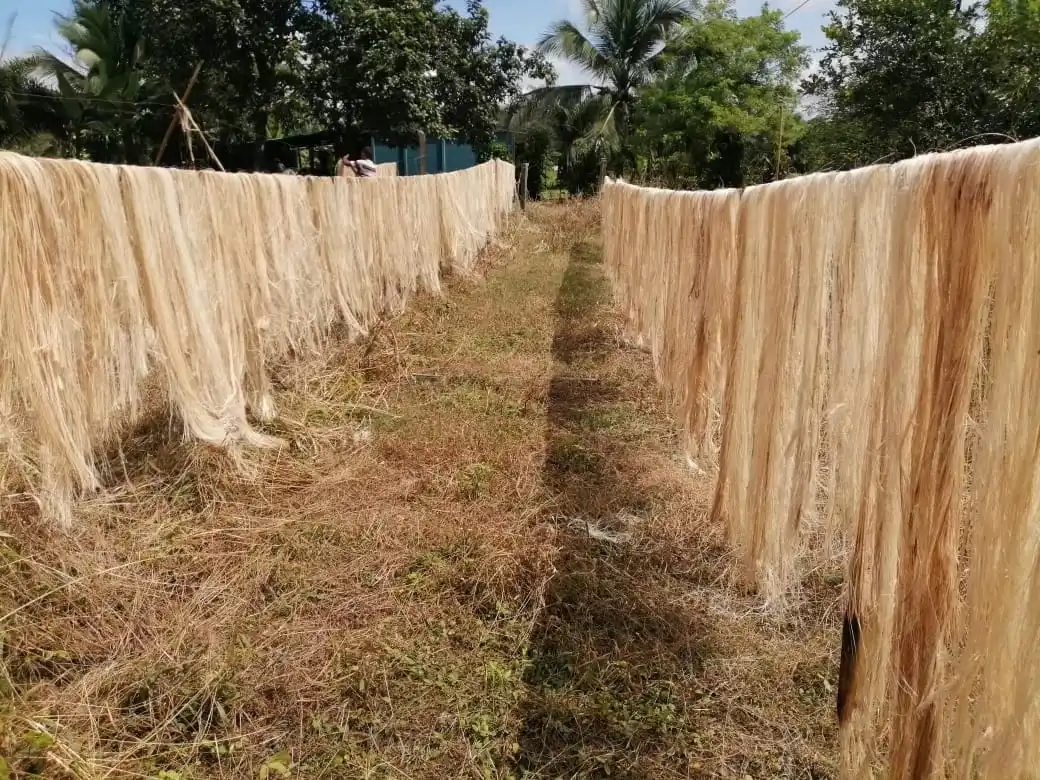 Natural And Durable Banana Fiber Materials For Sustainable Solutions