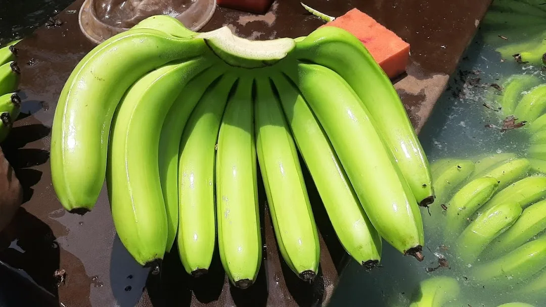Best Selling Fresh And Premium Green Banana Organic Cavendish Banana Export To China,Japan