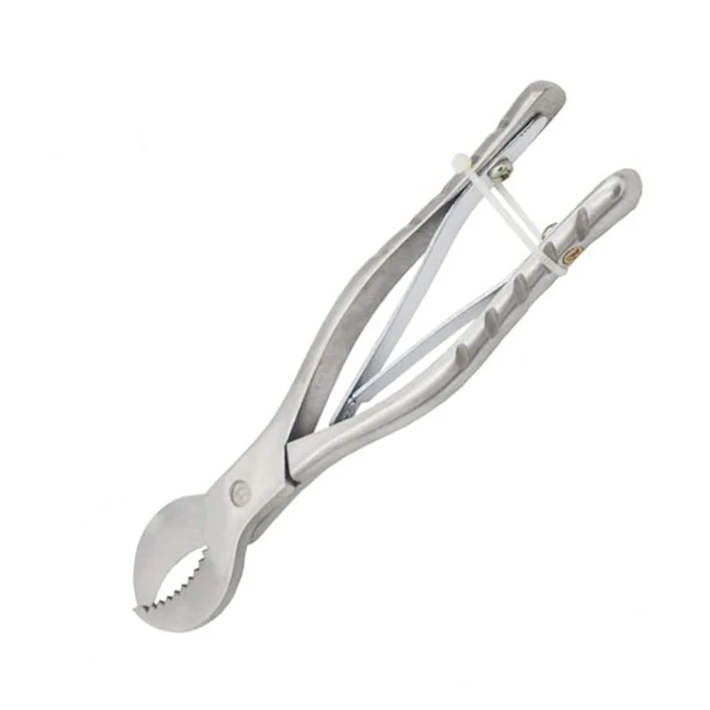 Dental Gypsum Scissors Plaster Shears Big Gypsum Shear Plaster Scissors