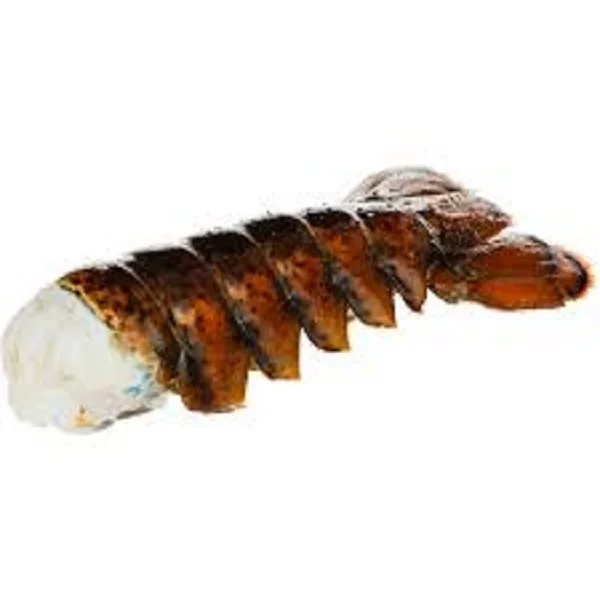 Fresh And Frozen Rock Lobster Tail Buy Frozen Lobster Tails For Sale