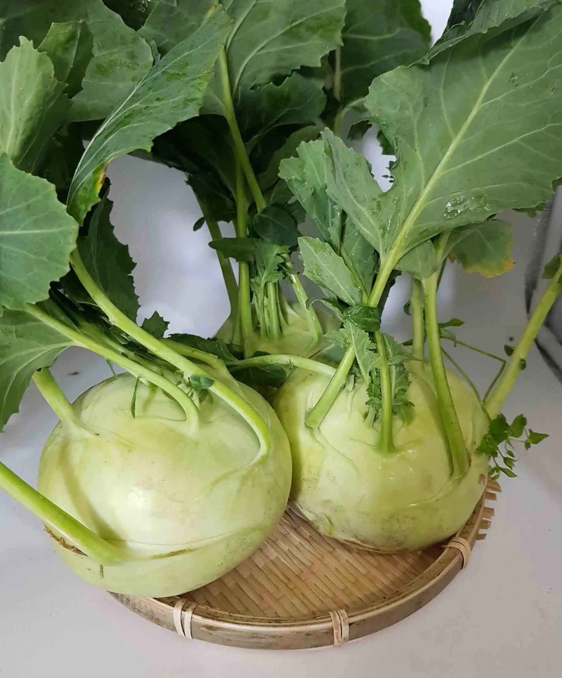 Vietnamese Healthy Vegetables Goods Flavour Fresh Green Kohlrabi Whole