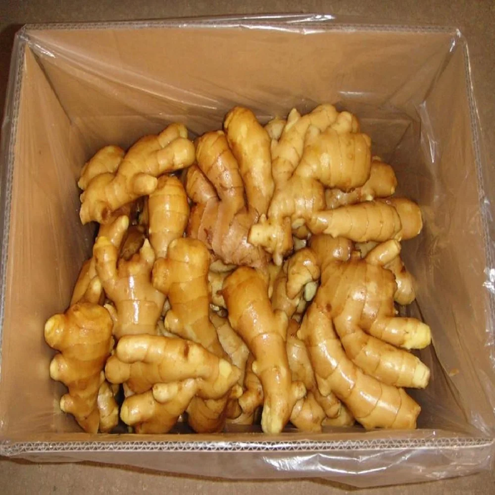 Fresh Ginger Dry Ginger Organic Wholesaler Supplier From China With Cheap Price Buy Ginger