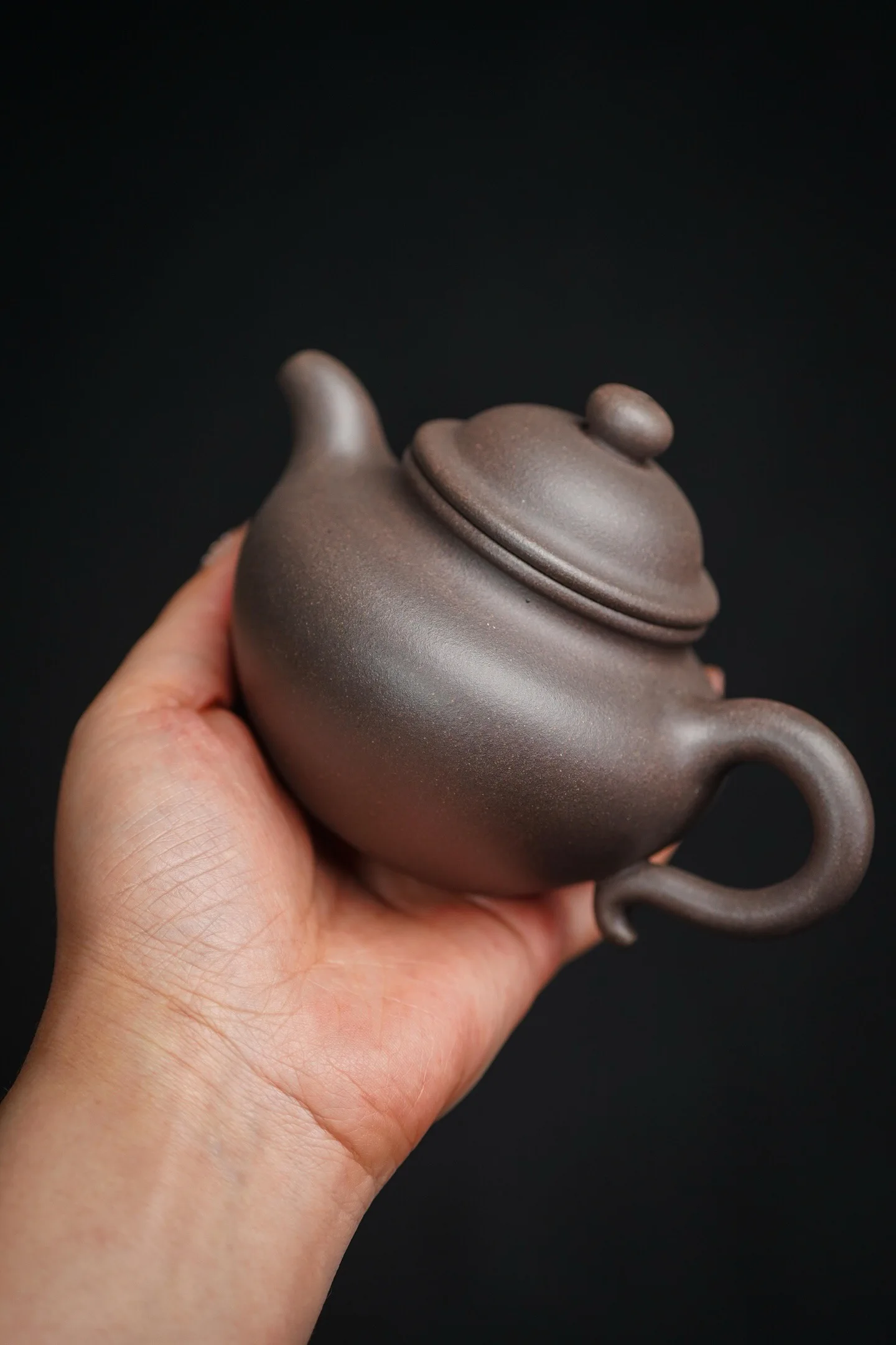 Lianzi Teapot in Hand