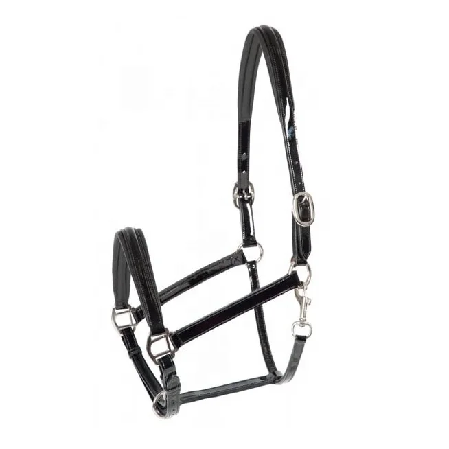 Wholesale Leather Horse Polo Halter Navy Blue Leather Horse Halter