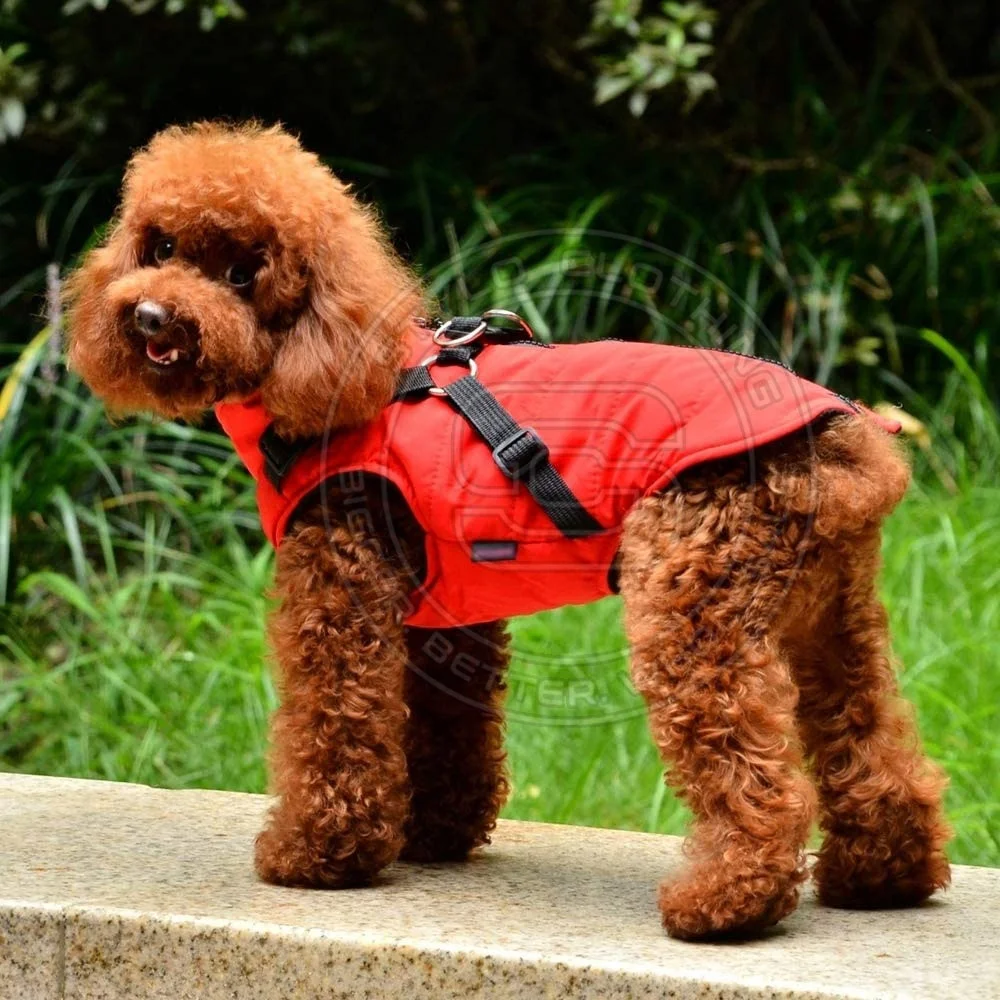 Newly Designed Best Selling Customized Dog Manufacturer Wholesale Soft