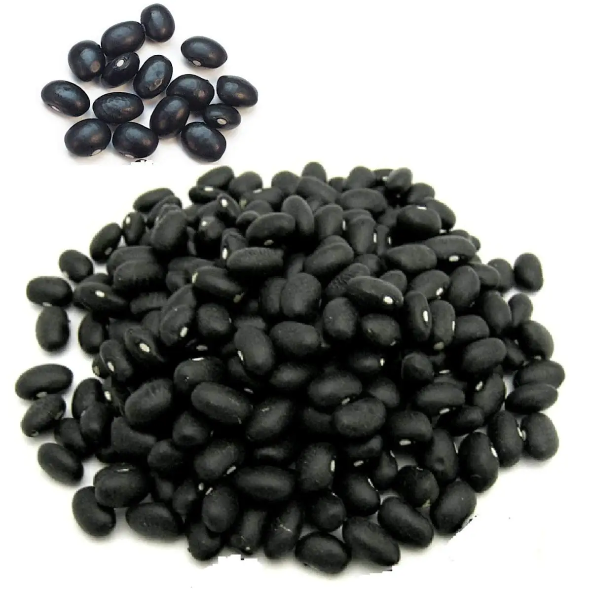 Dried Black Kidney Beans 25kg 50kg Buy Speckled Kidney Beans,Mexican