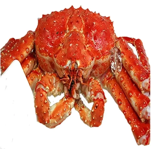 Fresh Frozen And Live Mud Crabs Red King Crabs Soft Shell Buy Hot
