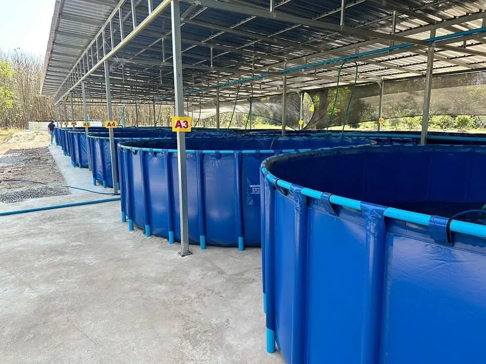 Fish Tank Pvc Foldable Commercial Aquaculture Coated Waterproof Pvc