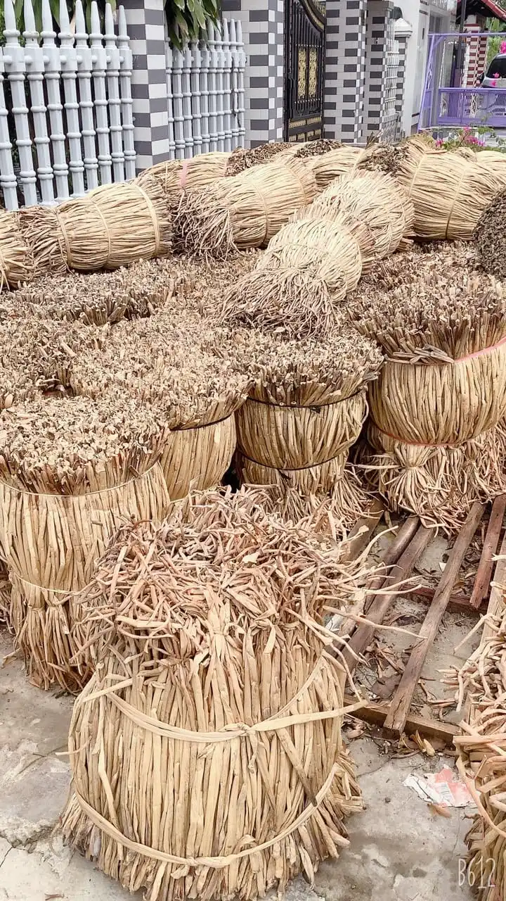 Dried Water Hyacinth Making For Craft Made In Vietnam/ms. Hazel (+84