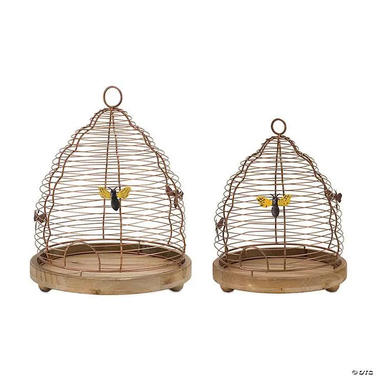 Conical Glass Cloche Dome with Wooden Base Set of Two Bell Jar Food ...