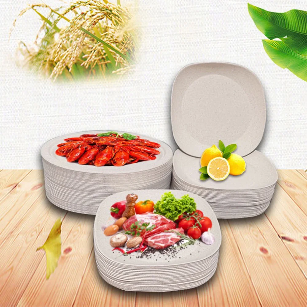 Disposable Plates Buy Disposable Fondue Plate,Disposable 7