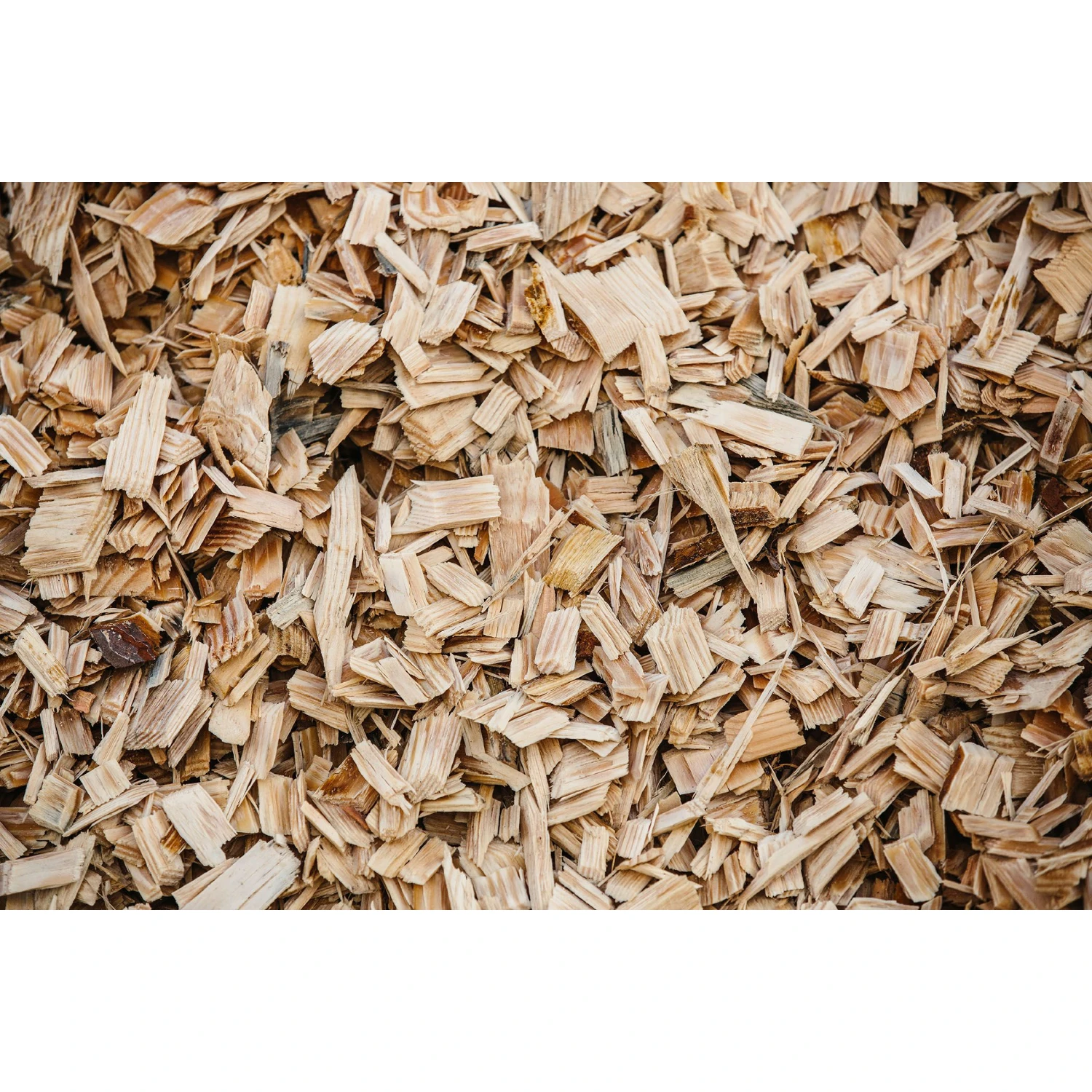 High Quality Eucalyptus/ Pine/ Acacia/ Rubber Wood Chips From Vietnam At Best Price Buy Wood