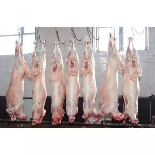Premium Quality Halal Fresh Chilled Goat Mutton Meat/ Lamb Meat Carcass