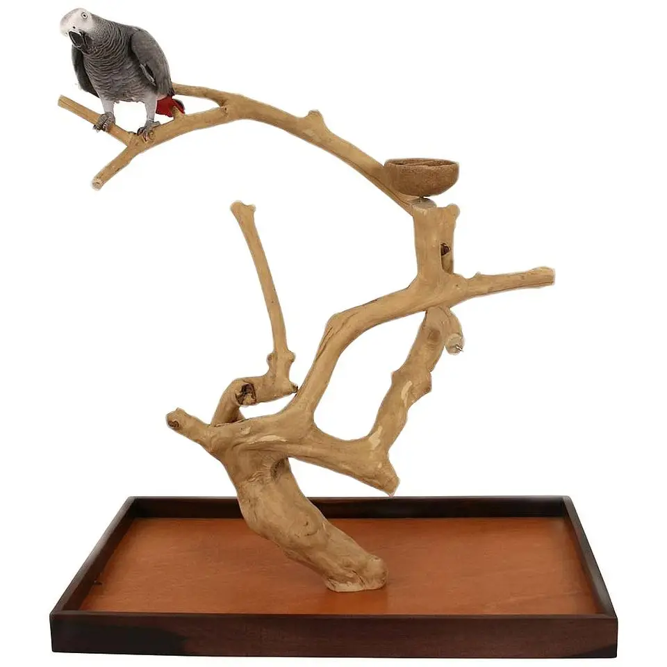 Java Wood Coffee Wood Parrot Bird Perch Tree Parrot Playstand Bird Toys