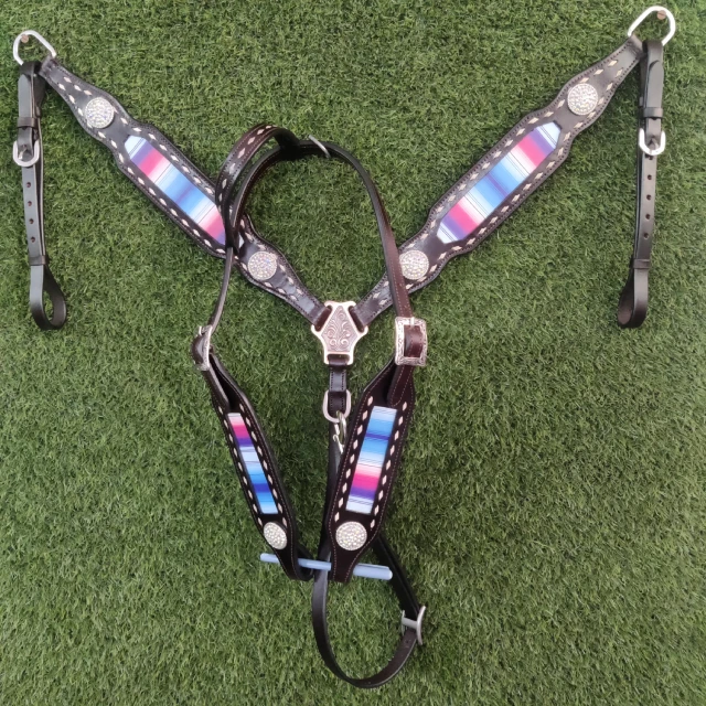 Horse Headstall And Breastplate With Turquoise Buck Stitch Hot And