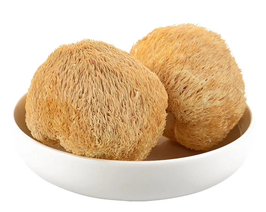 Bulk Supply Natural Dried Lion Mane Mushroom Raw Hericium Erinaceus
