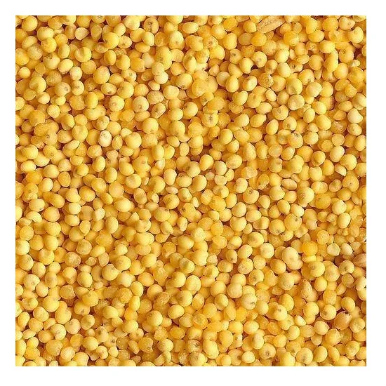 Buy Organic Yellow Millet Animal Feed New Crop Nonglutinous For Food