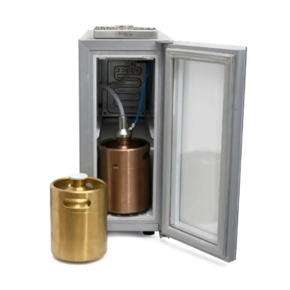 Junior Kegerator For 2 Liter Keg Us Tap Stainless Steel Faucet Beer