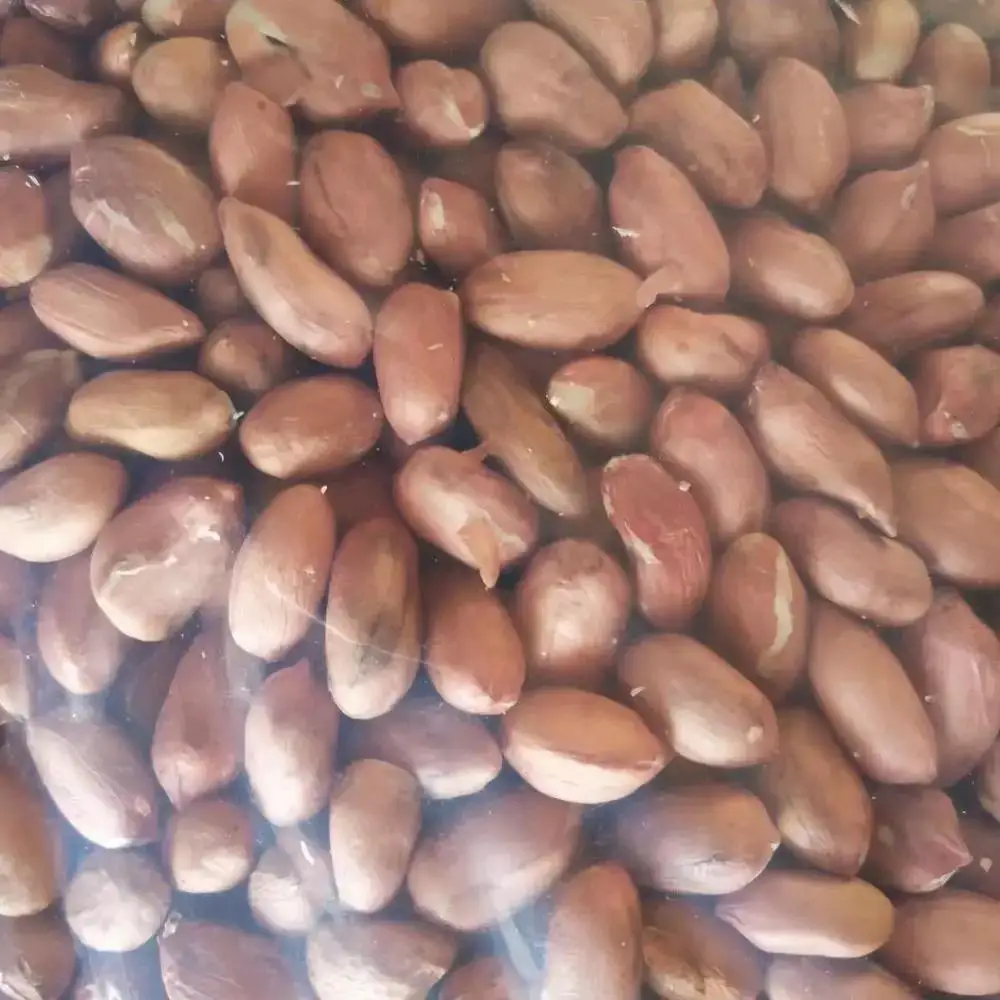 Top Grade Organic Peanut Kernels Peeled Peanuts Nuts In Bulk From Africa Manufacturer Best Sale