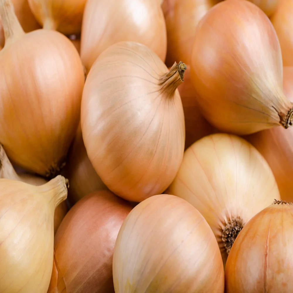 Wholesale Nonpeeled Fresh Red Yellow Onion For Sale 100 Maturity Natural Color Fresh Red