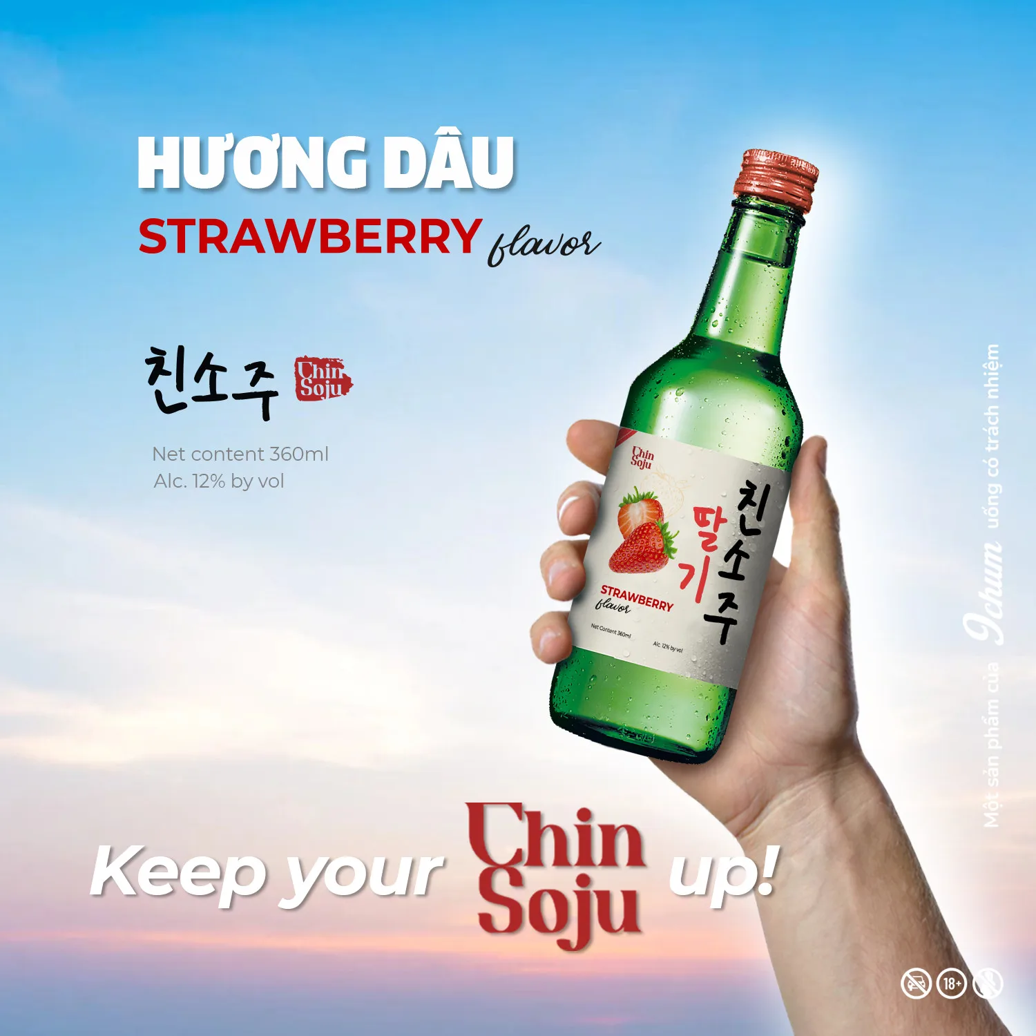 Various Fruit Flavour 360ml Brand Chin Soju Shochu With High Quality ...