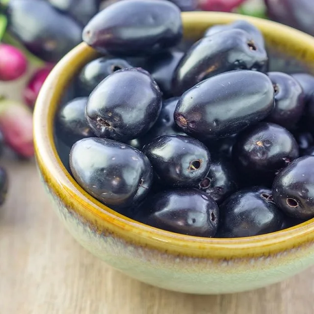 Fresh Jamun Fruit Premium Export Quality Jamun Java Plum For Wholesale