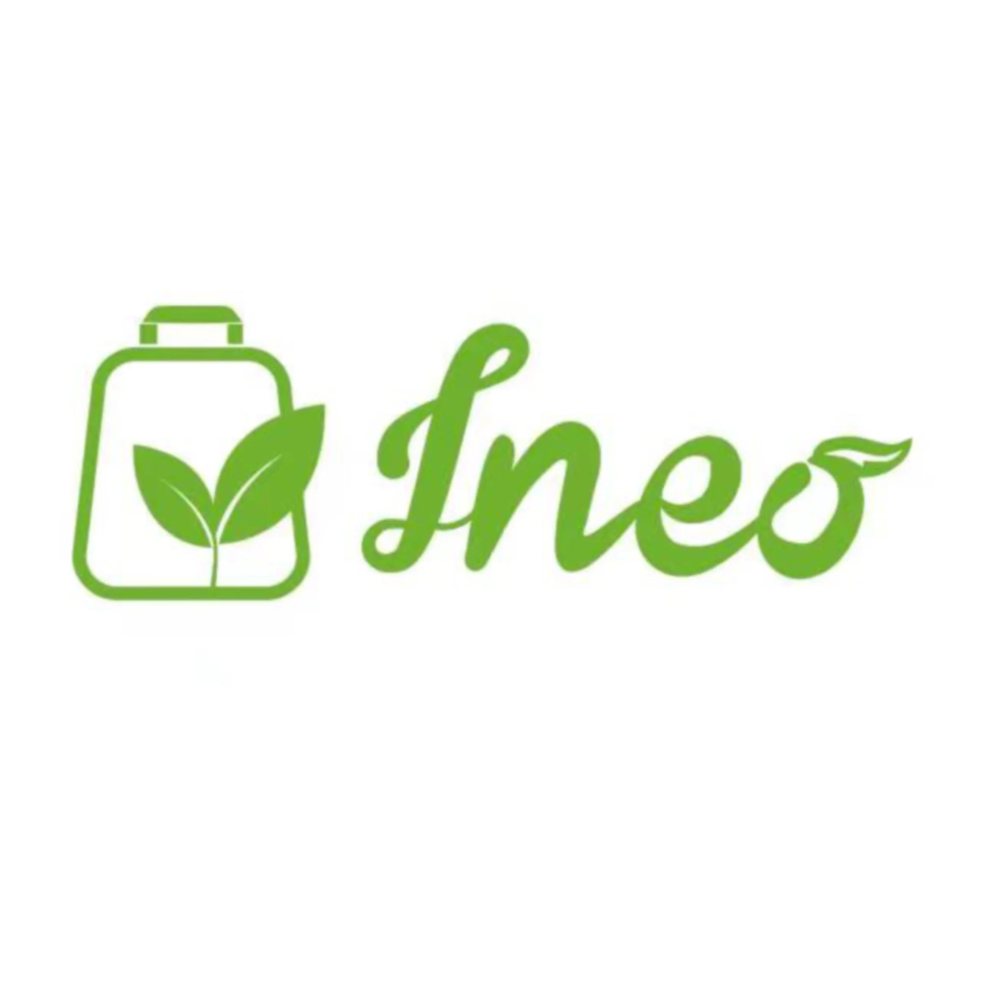 INEO logo