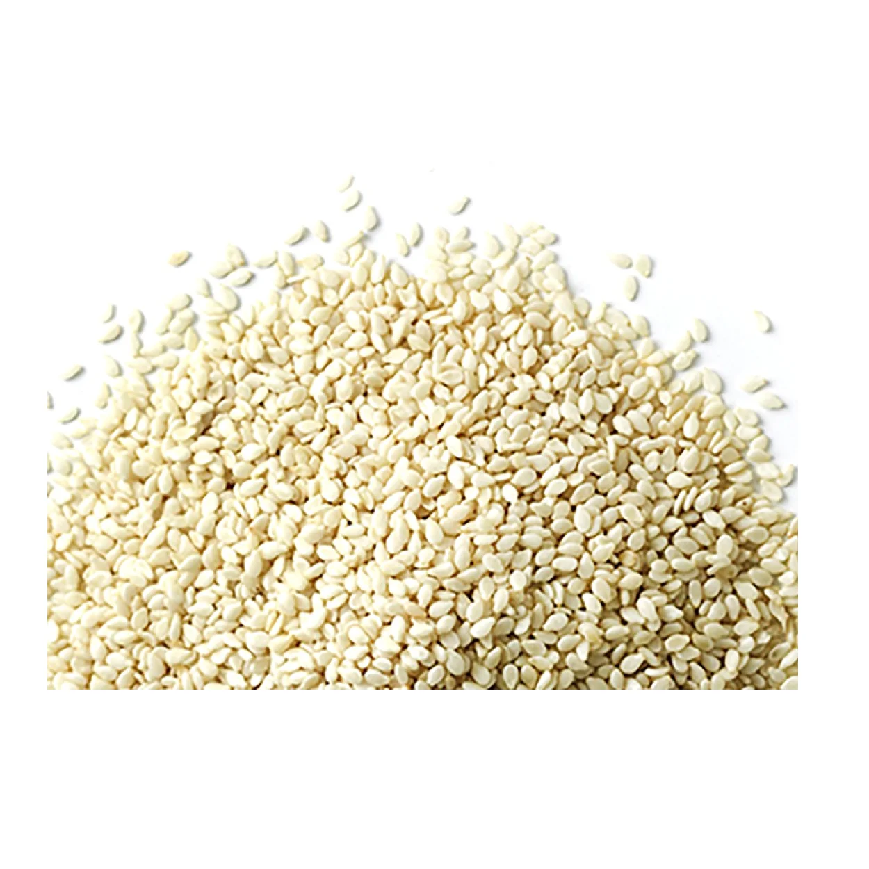 Super Sell 2023 Organically Made Fresh Sesame Seeds With Black & White