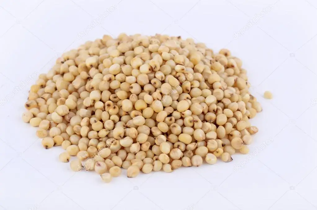 Wholesale Supplier Natural (jawar) Millet Quality Assurance