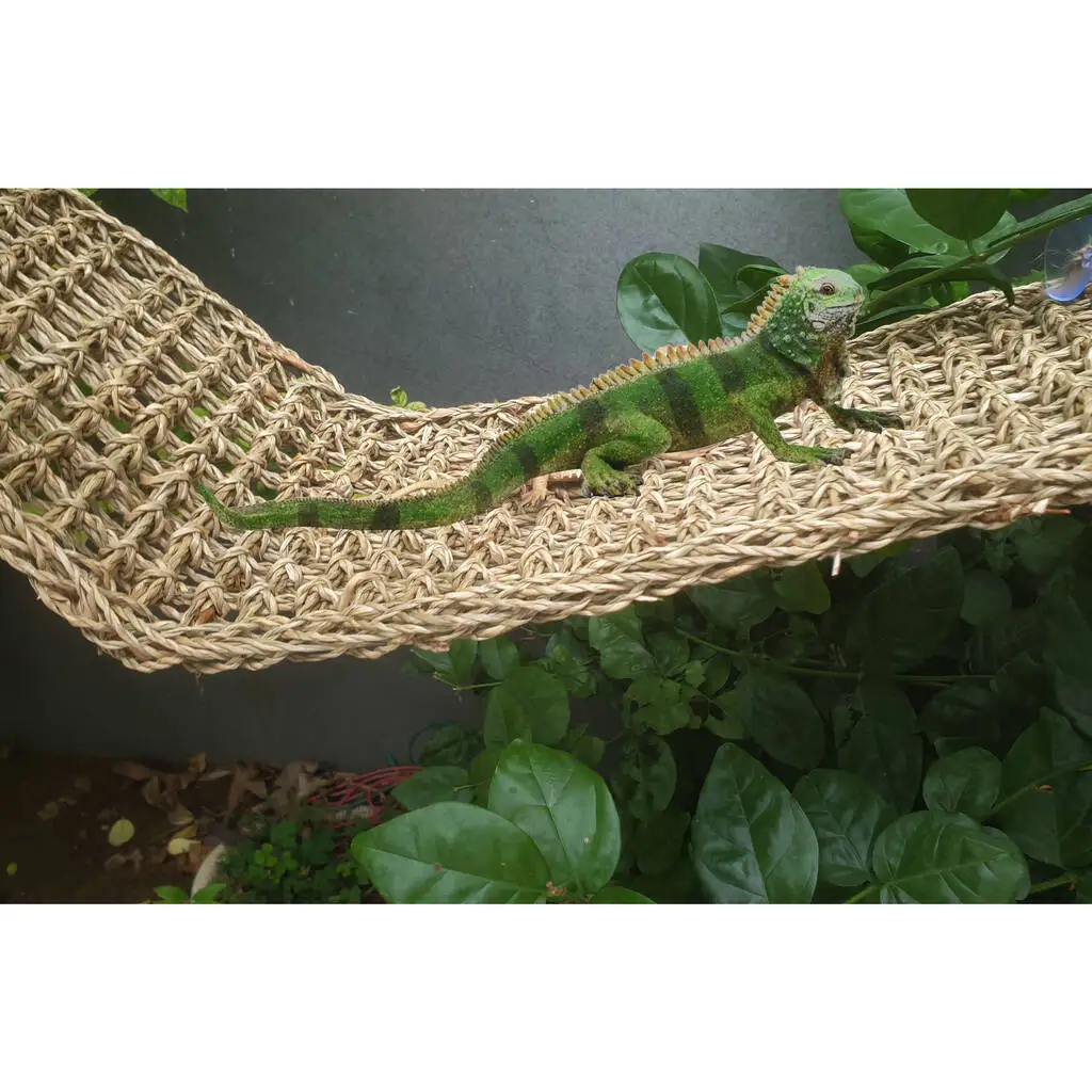 Vietnam Supplier Reptology Lizard Lounger 100 Natural Seagrass Fiber Great For Bearded Dragons