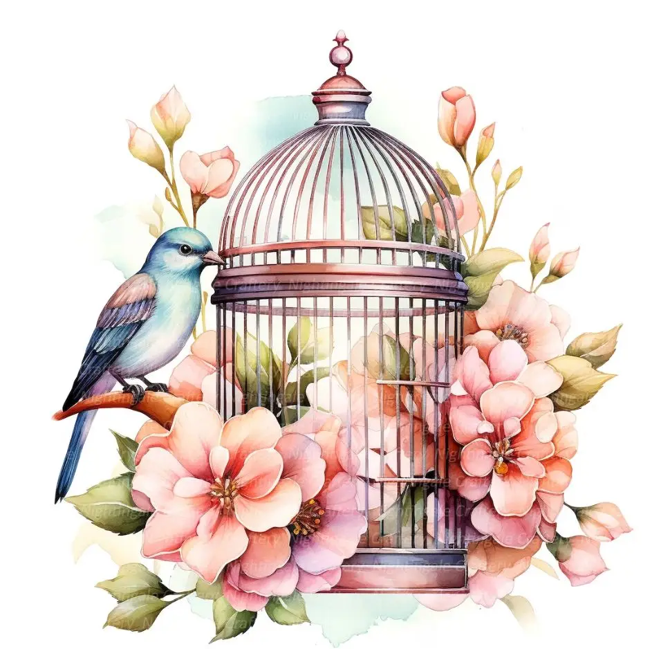 Floral Bird Cage Clipart Flower Birds Printable Watercolor Clipart High ...